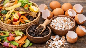 अब कूड़ा नहीं बनेगा किचन वेस्ट, घर पर बनाएं 3 तरह की सस्ती और असरदार खाद