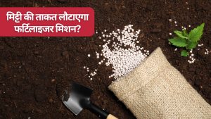 खाद से खराब होती मिट्टी और ताजा आंकड़ों ने फर्टिलाइजर मिशन को फिर हवा दी, बजट में होगा ऐलान? खाद से खराब होती मिट्टी और ताजा आंकड़ों ने फर्टिलाइजर मिशन को फिर हवा दी, बजट में होगा ऐलान?