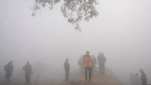 सर्दियों में अचानक क्यों छा जाता है घना कोहरा? जानिए इसके पीछे की असली वजह सर्दियों में अचानक क्यों छा जाता है घना कोहरा? जानिए इसके पीछे की असली वजह