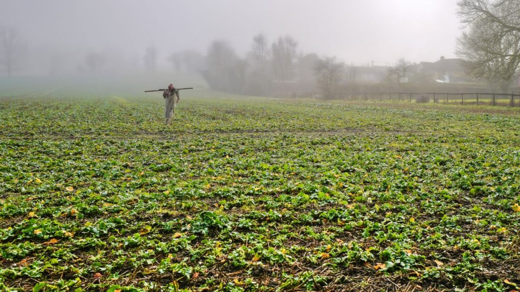 कोहरे में बर्बाद हो जाती है आपकी फसल? आजमाएं ये 6 देसी उपाय, नहीं होगा एक पत्ता भी खराब!