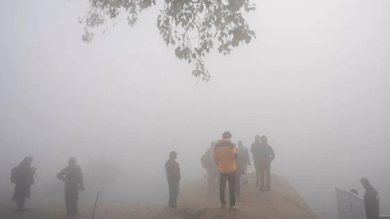 सर्दियों में अचानक क्यों छा जाता है घना कोहरा? जानिए इसके पीछे की असली वजह