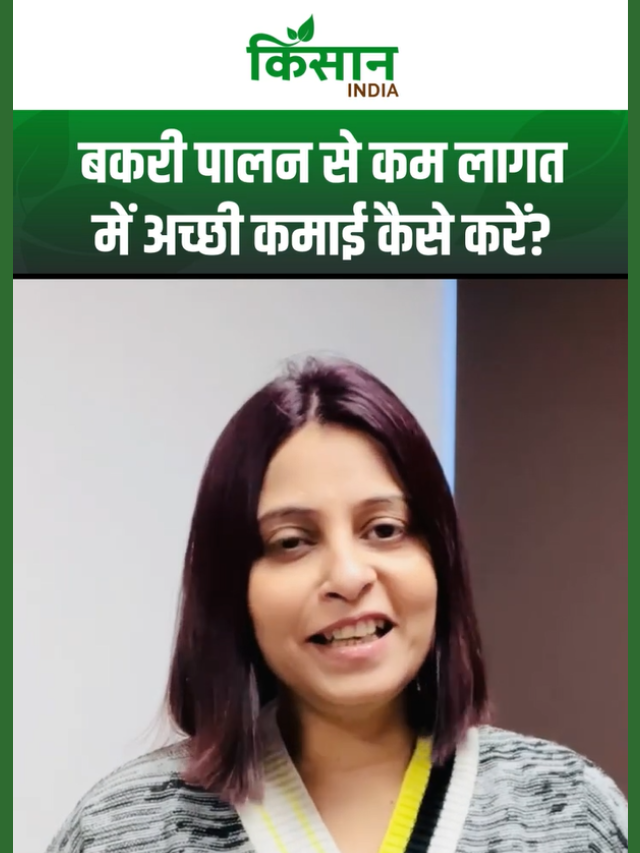 बकरी पालन सरकारी लोन योजना: सरकारी सब्सिडी, और ट्रेनिंग सेंटर की पूरी जानकारी