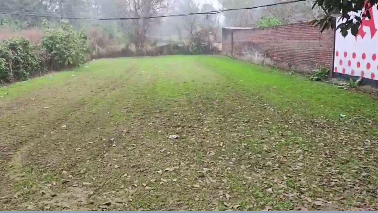 Himachal Pradesh Drought Condtions Serious Concer For Farmers Over 5lakh Hectares Crops Severely Affected