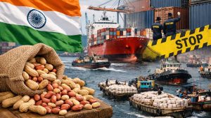 भारत से जा रही अवैध मूंगफली पर इंडोनेशिया का सख्त एक्शन, 10 जहाज समेत हजारों टन खाद्य सामग्री जब्त