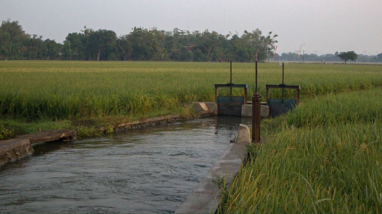 सिंचाई परियोजनाओं के लिए 2598 करोड़ मंजूर, 51 हजार हेक्टेयर फसलों को मिलेगा पानी.. बढ़ेगी उपज