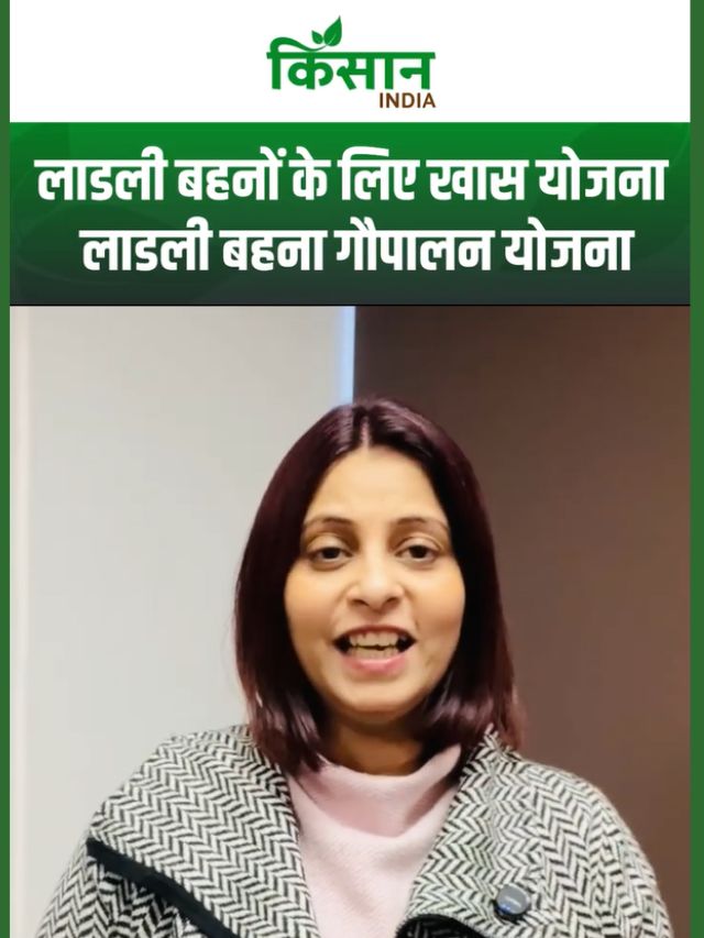 Ladli Behna Gopalan Yojana: सरकार ला रही धांसू योजना, अब लखपति बनने से नहीं रोक पाएगा कोई