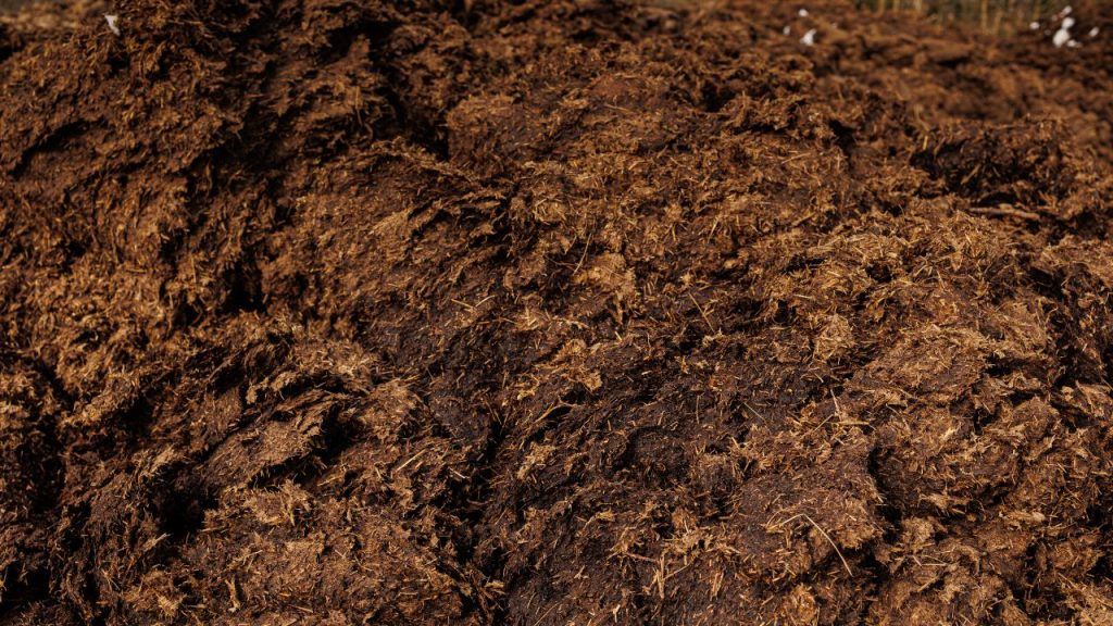 कृषि विशेषज्ञों के अनुसार, एक देसी गाय से तैयार जैविक संसाधनों की मदद से लगभग 30 एकड़ भूमि में सफलतापूर्वक खेती की जा सकती है, जिससे छोटे किसानों को भी बड़ा फायदा मिल सकता है.