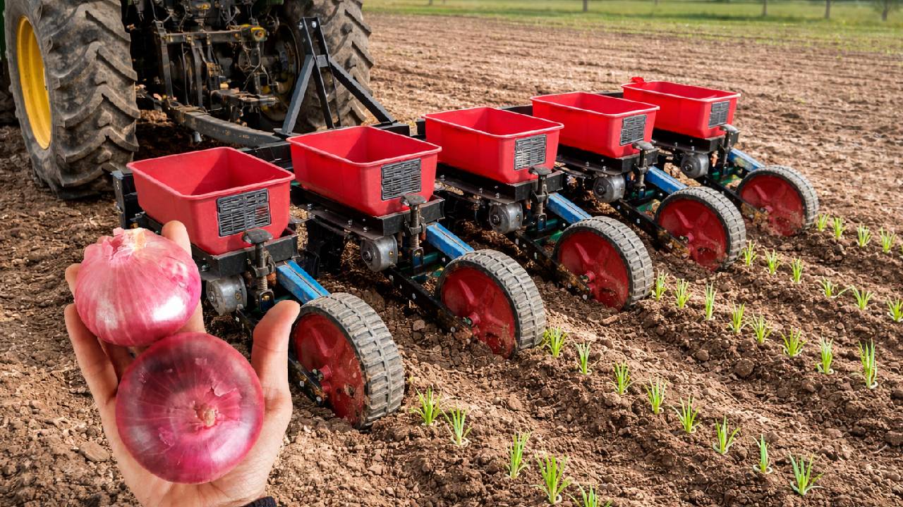 Onion Farming Machine Reduces Cost By 50 Percent Boosts Yield And Profit For Indian Farmers