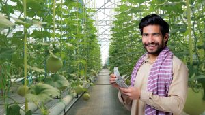 Hydroponics Farming: छत पर बिना मिट्टी के उगाएं सब्जियां, कमाएं हर महीने ₹30,000 से ज्यादा – जानें कैसे! Hydroponics Farming: छत पर बिना मिट्टी के उगाएं सब्जियां, कमाएं हर महीने ₹30,000 से ज्यादा – जानें कैसे!