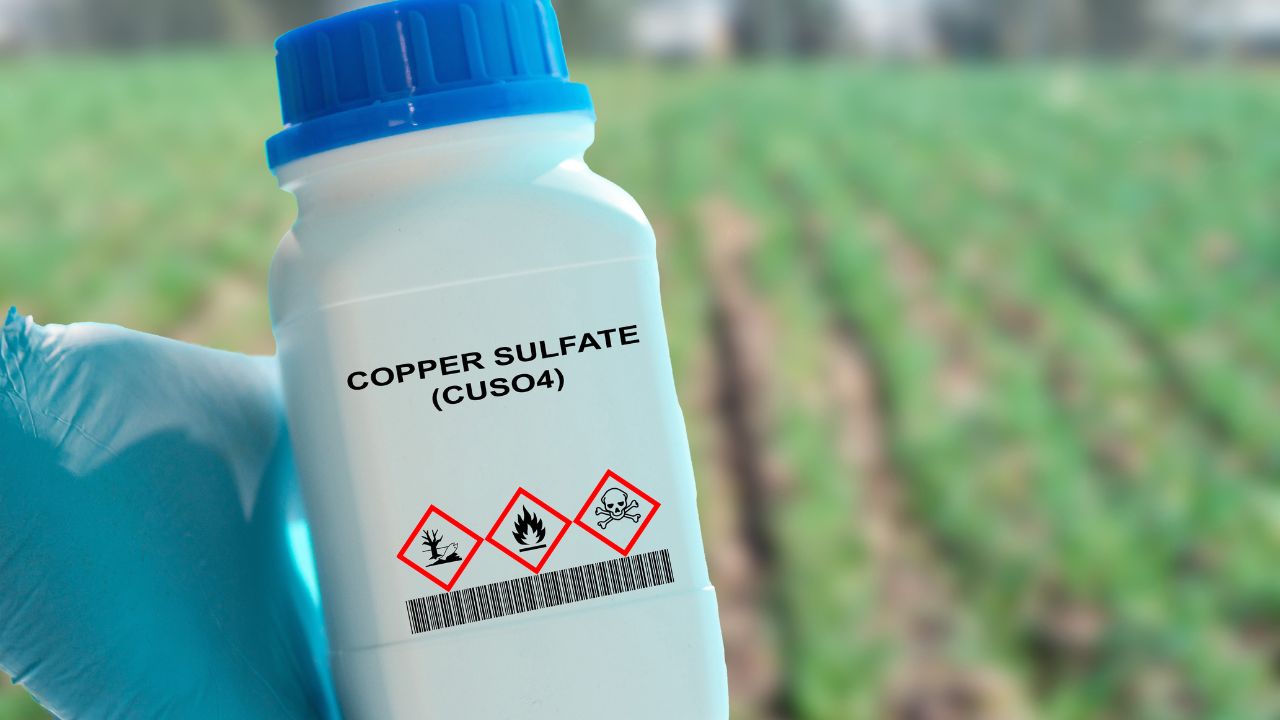 Farmers Safety: कीटनाशक का गलत रंग चुनना पड़ सकता है महंगा, फसल के साथ सेहत भी हो सकती है बर्बाद!