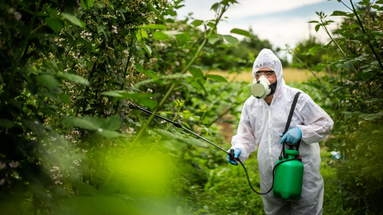 Croplife India Demands Strict Rules In Pesticides Management Bill 2025 To Stop Fake Pesticides Online Sales