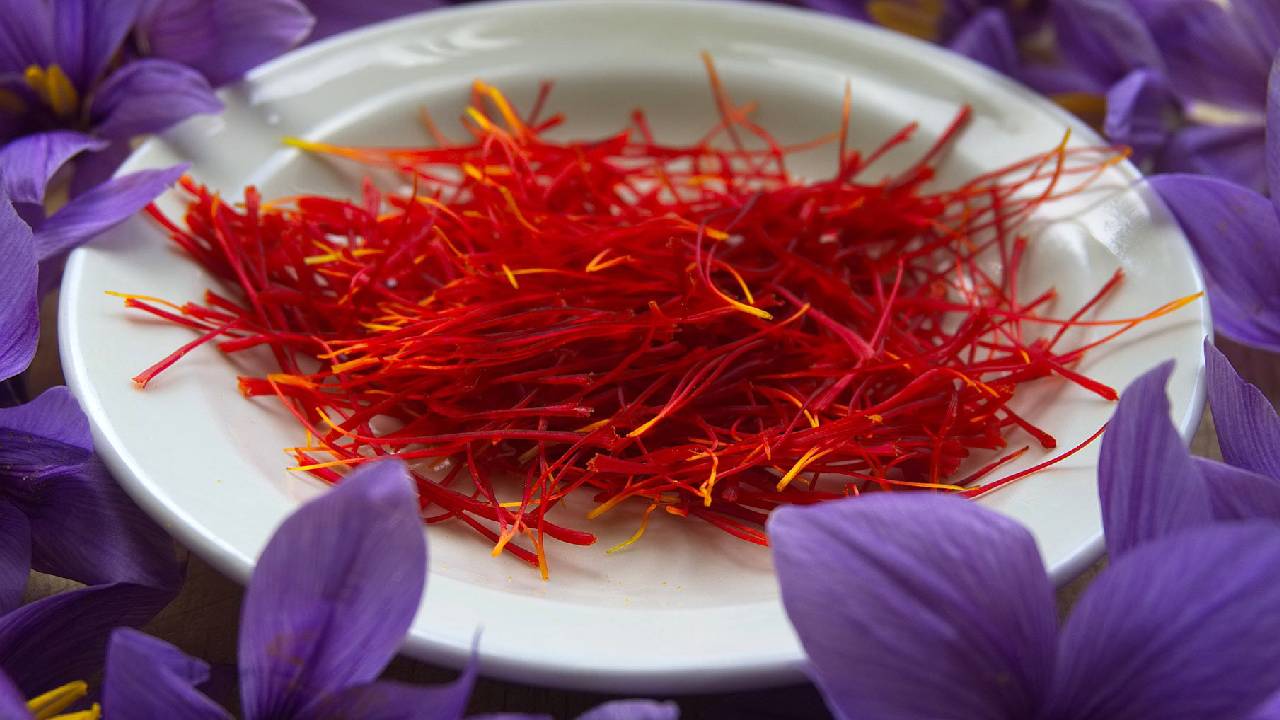 कश्मीर के बाद अब बिहार में भी खिलेगा केसर, वैज्ञानिकों को मिली कामयाबी