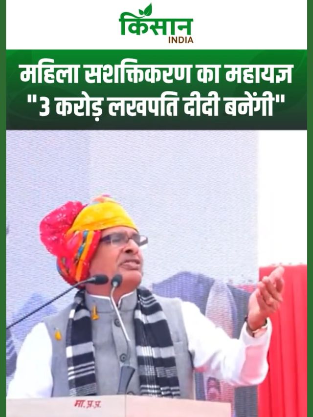 महिला सशक्तिकरण की ऐतिहासिक कहानी: 2 करोड़ लखपति दीदियां, जल्द बनेगा 3 करोड़ का आंकड़ा