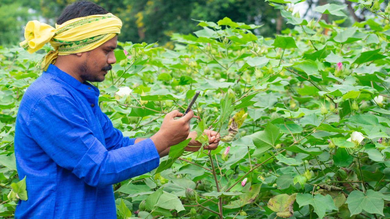 Smart Agriculture Zone To Be Developed Across 5000 Acres And Laboratory To Established To Certify Organic Products In Haryana To Increase Farmers Income