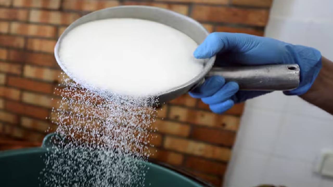 India Sugar Production Rises October January Maharashtra Top Producer 2025 26 Season