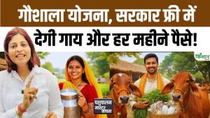 Cow Farm शुरू करने का मौका, Gaushala Yojana के तहत पाएं मुफ्त गाय और सब्सिडी Cow Farm शुरू करने का मौका, Gaushala Yojana के तहत पाएं मुफ्त गाय और सब्सिडी
