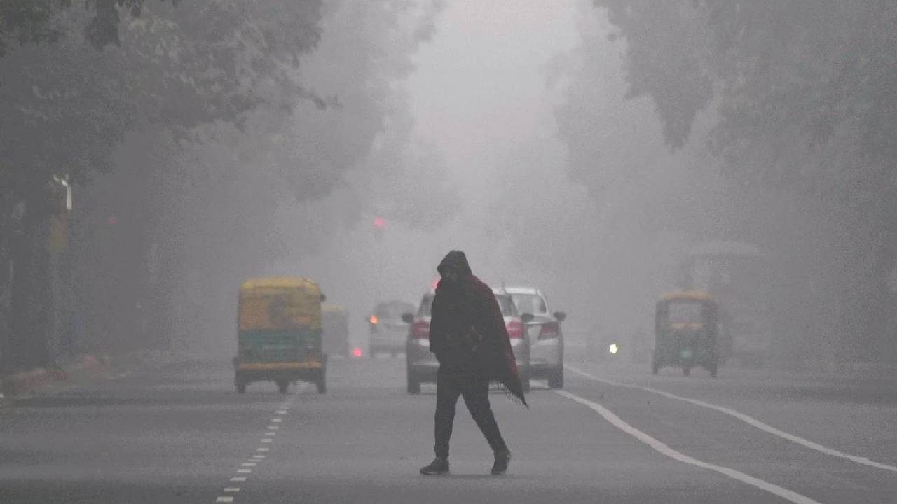 Cold Wave North India Dense Fog Freezing Temperatures Delhi Up Bihar Rajasthan Himachal Madhya Pradesh Weather Alert