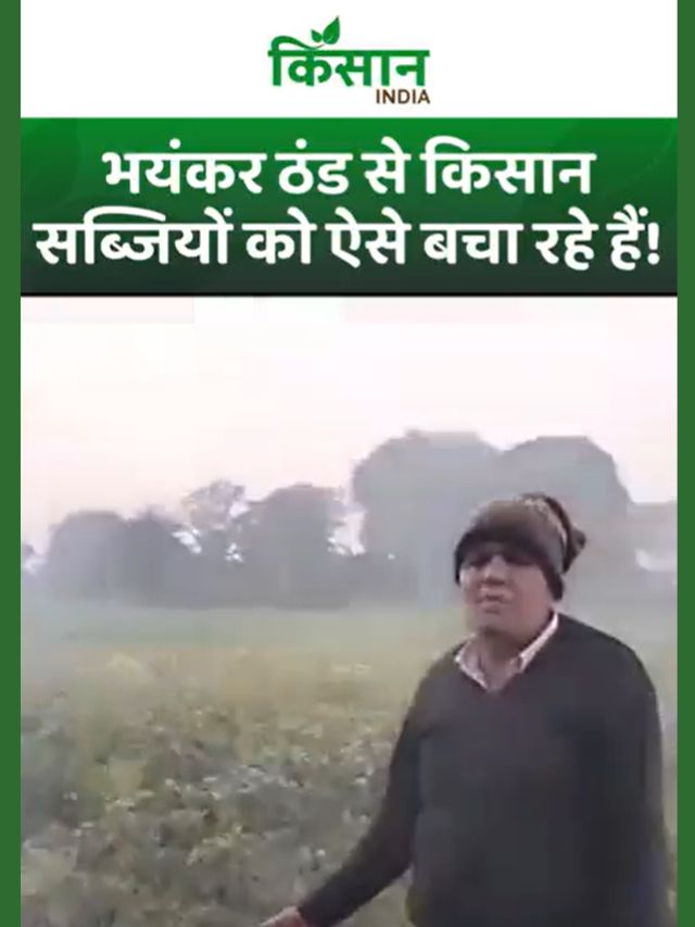 कड़ाके की ठंड का कहर: फसल बचाने के लिए अलाव और धुएं के सहारे किसान