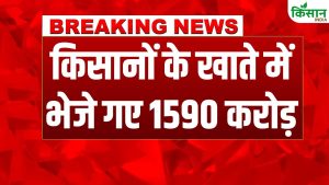 CM Kisan Samman Nidhi : सीएम किसान सम्मान निधि की 5वीं किस्त जारी, हजारों किसानों को मिली आर्थिक मदद