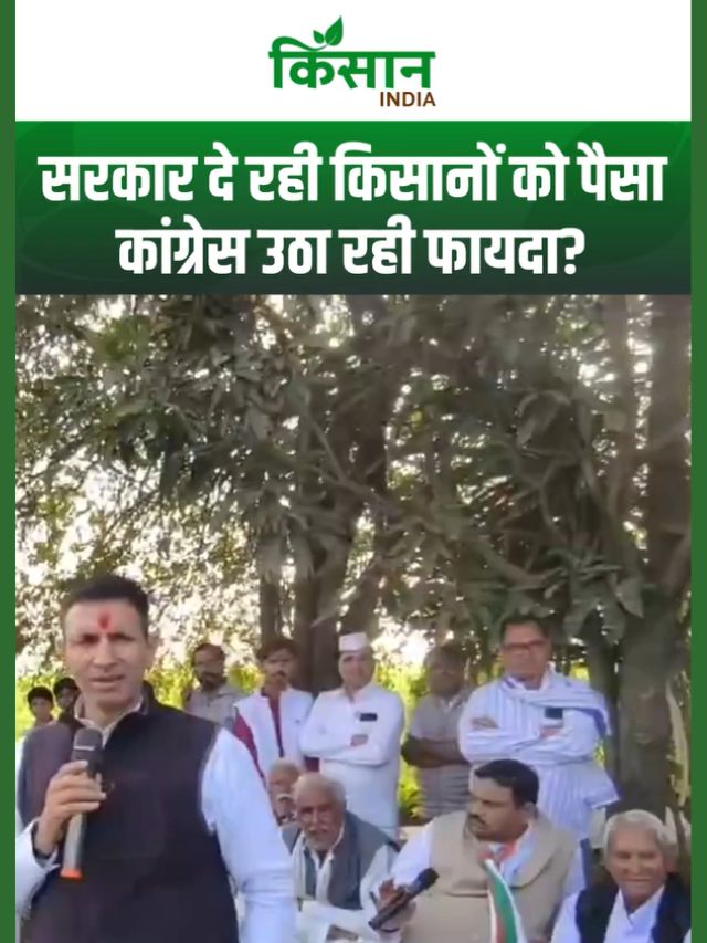 गेहूं का भाव 3000 नहीं, 4000 होना चाहिए, Jitu Patwari ने किसानों के लिए उठाई आवाज