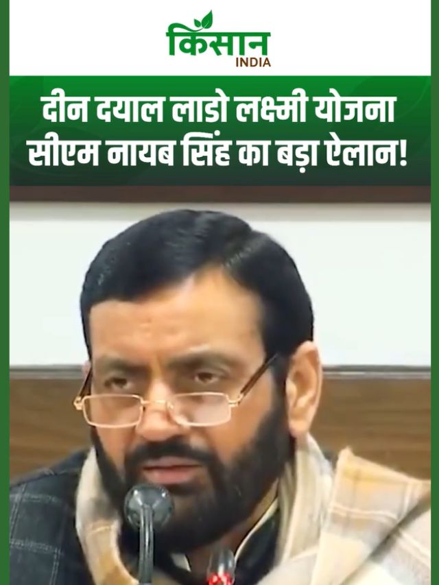 Deen Dayal Lado Lakshmi Yojana: इन महिलाओं के लिए बड़ी सौगात, CM Nayab ने किया बड़ा ऐलान