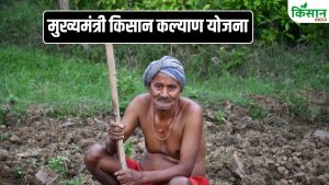 CM Kisan Kalyan Yojana: दो महीने से इंतजार, मोबाइल पर टिकी नजरें! कब आएगी 14वीं किस्त CM Kisan Kalyan Yojana: दो महीने से इंतजार, मोबाइल पर टिकी नजरें! कब आएगी 14वीं किस्त