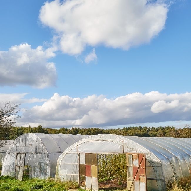 Low Cost Polyhouse guide, Bill off materials, Low Cost Polyhouse, ROI, Get Estimate