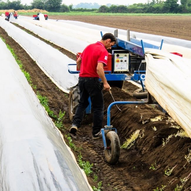 Low Cost Polyhouse guide, Bill off materials, Low Cost Polyhouse, ROI, Get Estimate, Modern Farming India