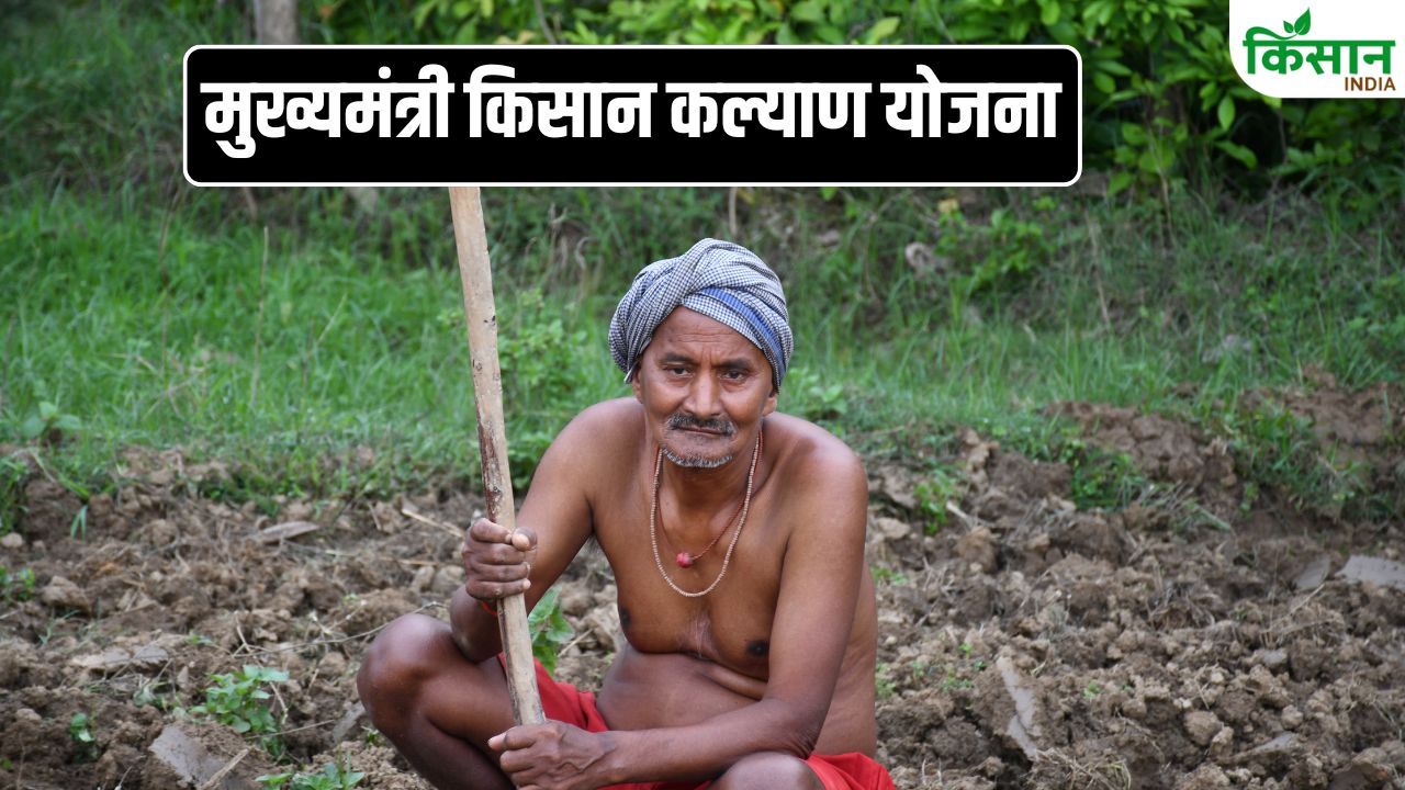 When 14th Installment Cm Kisan Kalyan Yojana Madhya Pradesh Arrive