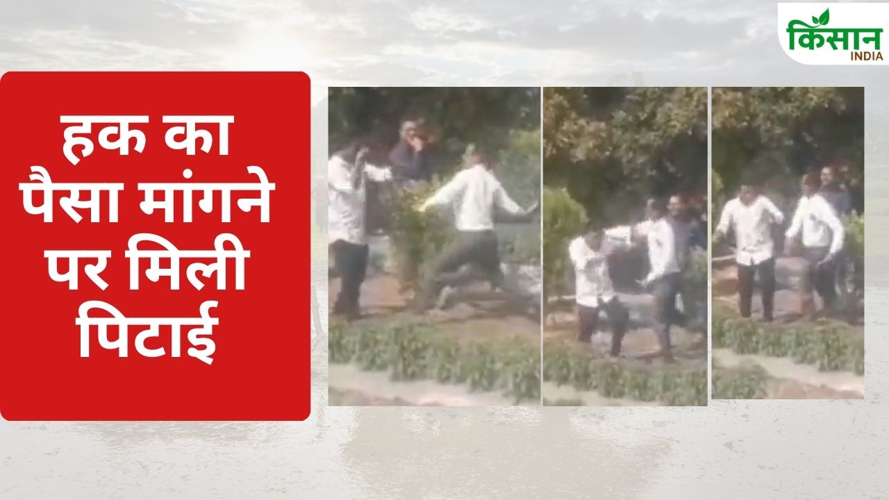 Maharashtra Agriculture Officer Beat Farmer With Slippers And Slaps Video Viral