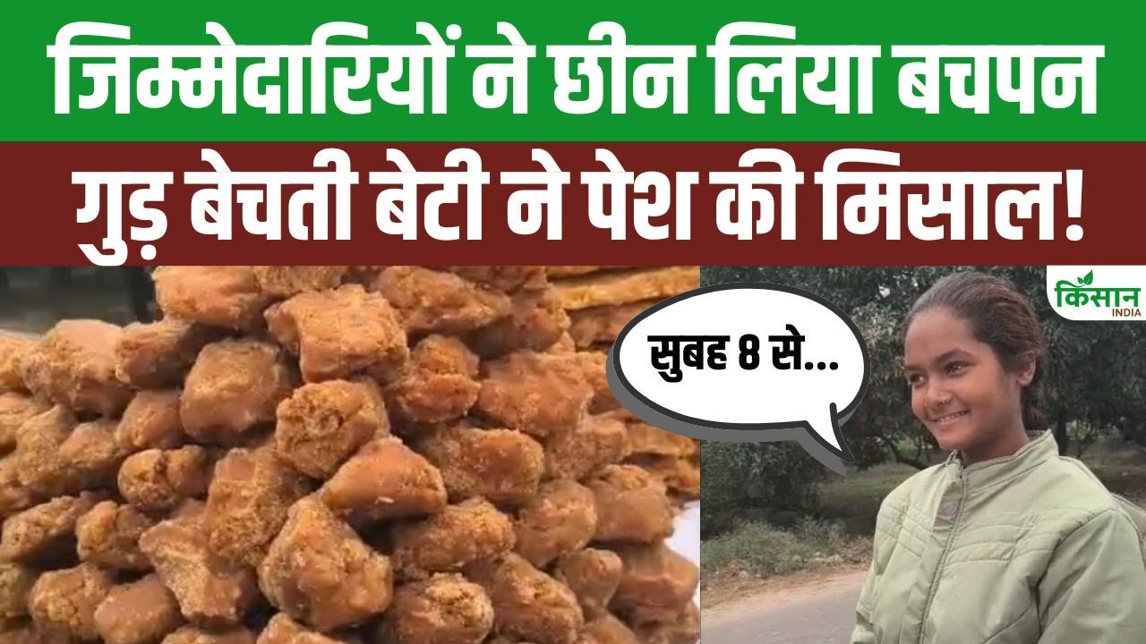 16 Year Old Chandni Takes On Responsibility Her Family By Selling Jaggery Writing Story Success Through Struggle