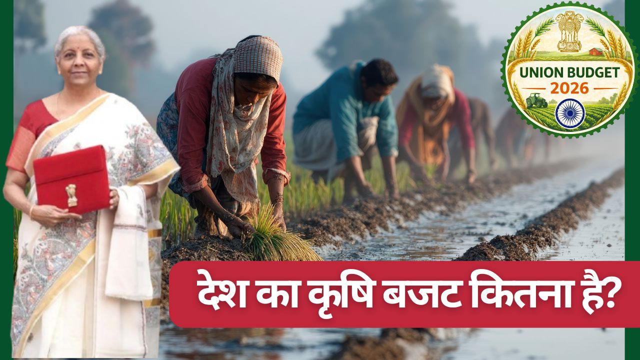 Agriculture Budget: कृषि योजनाओं के लिए नहीं बढ़ा बजट, खेती पर खर्च होंगे 1.62 लाख करोड़ रुपये.. पढ़ें डिटेल्स