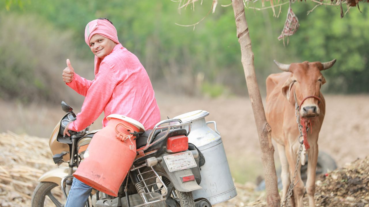 Amul Ai Sarlaben To Alert Farmers About Animal Diseases Vaccination And Medicine Guidance On To Increase Milk Production