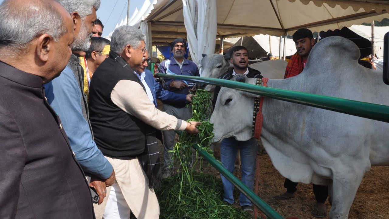 Lallan Singh Statement Kurukshetra Livestock Fair Indigenous Cows Have Made A Special Mark Dairy Sector