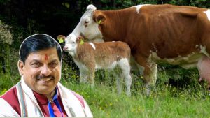 मध्य प्रदेश में 10 योजनाओं को मिली 15 हजार करोड़ की मंजूरी, जनकल्याण और रोजगार को मिलेगा बढ़ावा