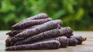 Tip Of The Day: बाजार में 20 रुपये ज्यादा दाम… एक्सपर्ट से जानें क्यों काली गाजर बन रही किसानों की पहली पसंद