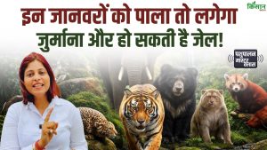 Illegal Pets रखने से पहले जान लें कानून, वरना पुलिस कार्रवाई और सजा का करना पड़ेगा सामना