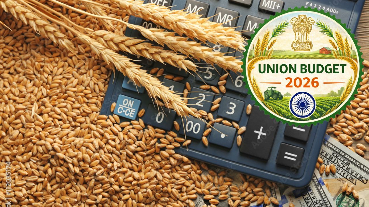 Budget 2026: बजट में बीज बिल पर रोडमैप की घोषणा आज संभव, बीज नहीं उगने पर किसान को पैसा मिलेगा?