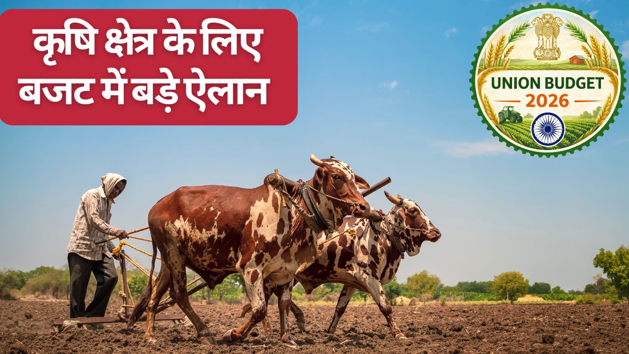 Budget 2026: कृषि के लिए बजट में 5 बड़ी योजनाओं का ऐलान, गांवों की दिशा-दशा बदलेंगी ये टॉप स्कीम्स