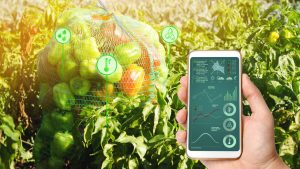 खेती में तकनीक का इस्तेमाल बढ़ाने पर जोर, फूड सिक्योरिटी के लिए 330 करोड़ खर्च करेगी CIMMYT