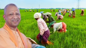 पहले 25 दिन लगते थे अब किसानों को 5 मिनट में मिल रहा धन, अन्नदाता को 3 लाख करोड़ देने की योजना पहले 25 दिन लगते थे अब किसानों को 5 मिनट में मिल रहा धन, अन्नदाता को 3 लाख करोड़ देने की योजना