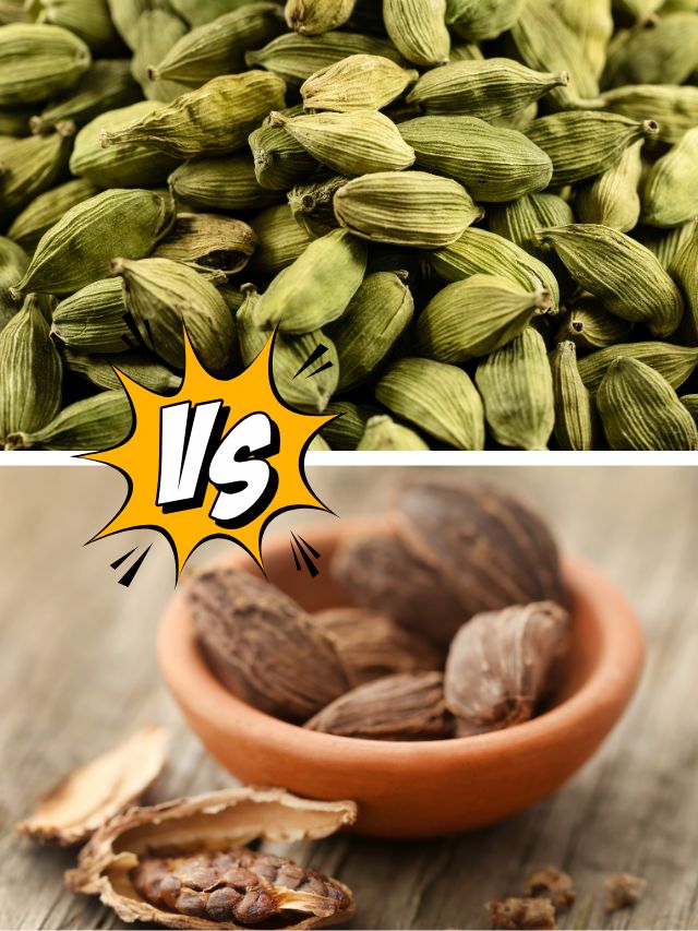 छोटी या बड़ी, सेहत के लिए कौन सी इलायची है बेस्ट?