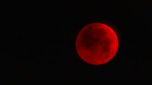 Chandra Grahan: होली पर लगेगा साल का सबसे लंबा चंद्र ग्रहण! जानें सूतक के नियम और होली की सही डेट