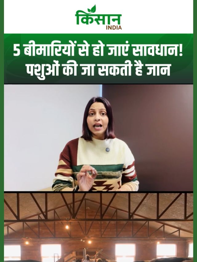 Dairy Farming Alert: पोषण की कमी से गाय-भैंस पर बड़ा खतरा, 5 बीमारियां कर सकती हैं कमाई बंद