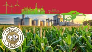 E20 पेट्रोल की अनिवार्य बिक्री के फैसले से कृषि सेक्टर को मिलेगा बूस्ट, गाड़ी और जलवायु पर कैसा होगा असर?