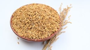 एडवांस बुकिंग स्कीम के नाम पर जाल में फंसाए जा रहे किसान, बीज कालाबाजारी का नया तरीका अपना रहीं कंपनियां