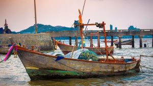 होली से पहले तमिलनाडु सरकार ने मछुआरों और बुजुर्गों को दिया तोहफा, खातों में ट्रांसफर किए करोड़ों रुपये