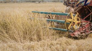 होली पर किसानों को बड़ा फायदा, सस्ते मिलेंगे कृषि यंत्र.. जल्दी करें आवेदन वरना छूट जाएगा सुनहरा मौका