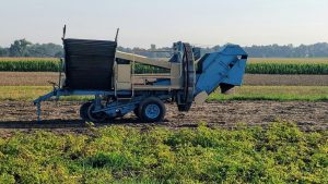 Stone Picker Machine: खेत में पड़े पत्थर बन रहे नुकसान की वजह, स्टोन पिकर मशीन दिलाएगी कंक्रीट से छुटकारा