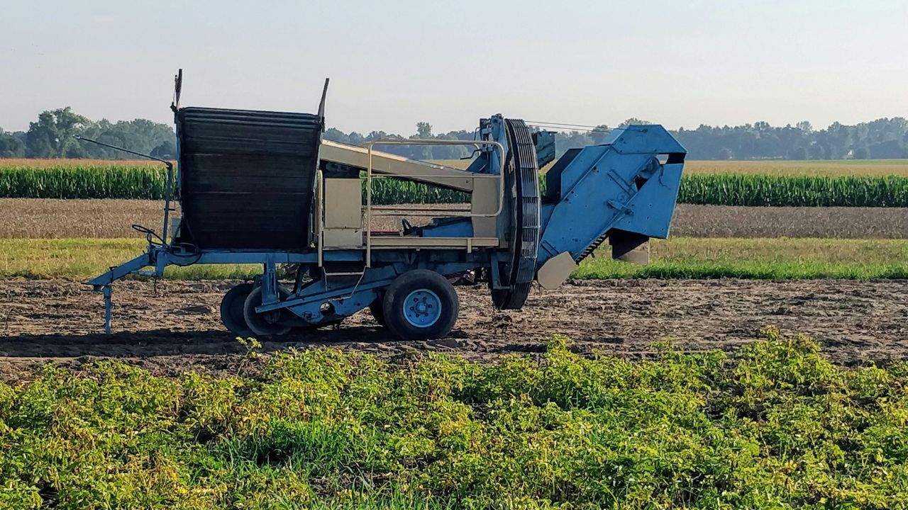 Stones Lying In Fields Are Causing Damage Stone Picker Machines Increase Yields And Save Costs